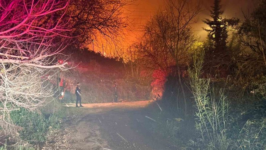 Antalya’da Orman Yangını