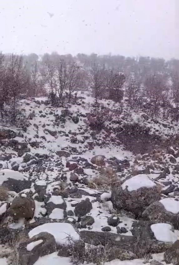 Kar Yağışı Karacadağ’daki Yaban Hayatını Zorladı
