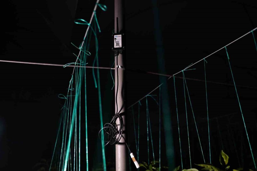 Seralarda Dona Karşı Sıcaklıklar Cep Telefonundan Anlık Takip Ediliyor