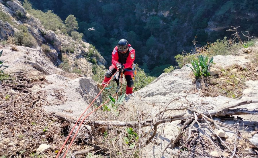 Uçurumdan Düşen Kuzuyu Ekipler Kurtardı
