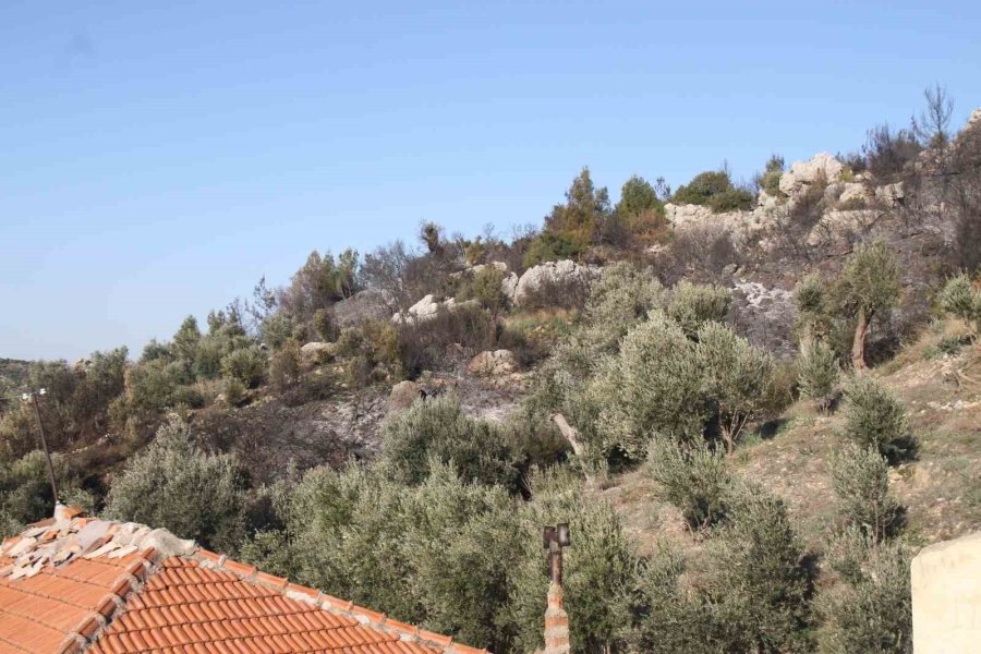 Antalya’daki Orman Yangınında Zararın Boyutu Gündüz Ortaya Çıktı: 2 Hektar Zarar Gördü