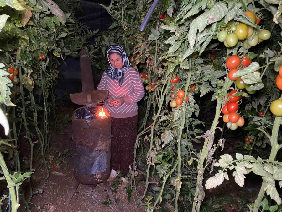 Termometreler Eksiyi Gördü, Zirai Don Nöbeti Başladı