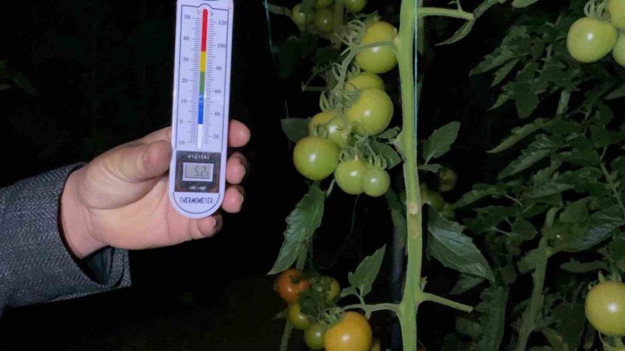 Termometreler Eksiyi Gördü, Zirai Don Nöbeti Başladı