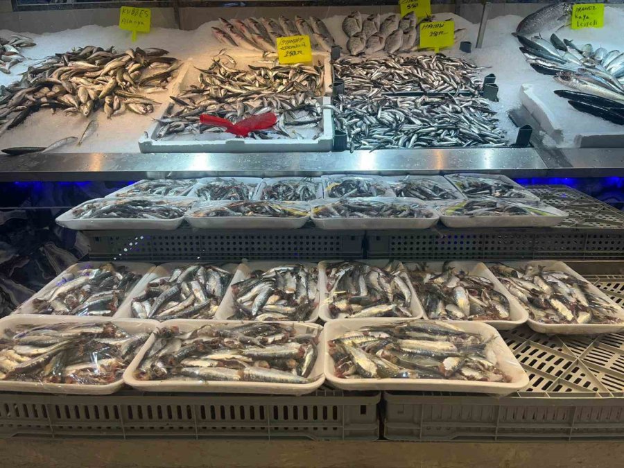 Alanyalı Balıkçıdan Şehit Ve Gazilerin Ailelerine Ücretsiz Balık