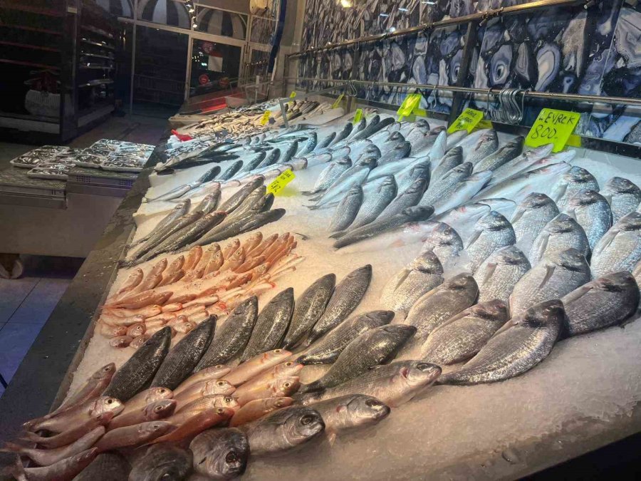 Alanyalı Balıkçıdan Şehit Ve Gazilerin Ailelerine Ücretsiz Balık