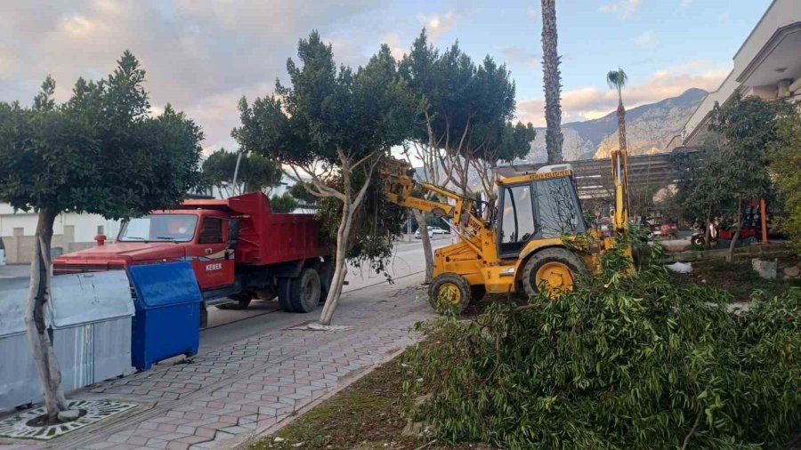 Kemer’de 2025’te 7 Bin 111 Ton Atık Toplandı
