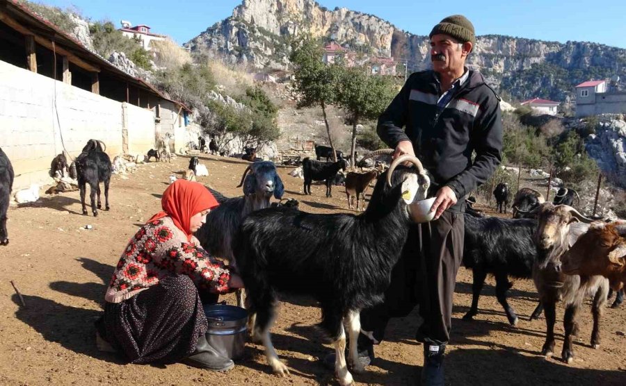 Mersinli Yörük Kızı, Baba Mesleğiyle Kültürünü Yaşatıyor