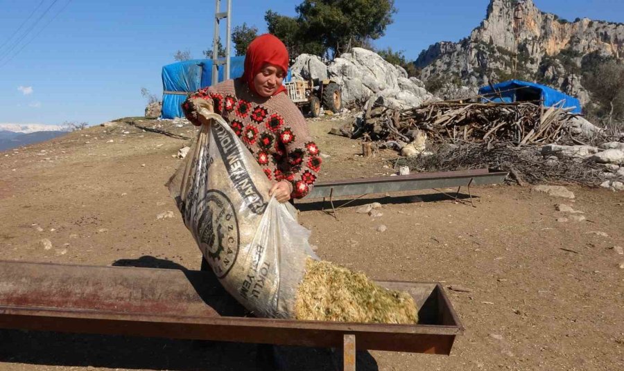 Mersinli Yörük Kızı, Baba Mesleğiyle Kültürünü Yaşatıyor