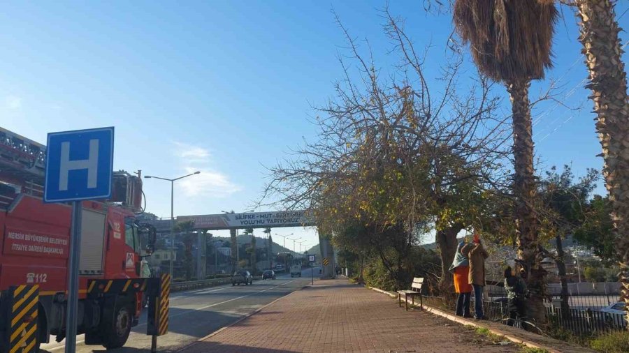 Silifke’de Yürekleri Isıtan Kurtarma