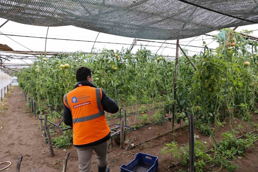 Büyükşehir, Yağıştan Etkilenen 3 İlçe İçin Hasar Tespit Çalışması Başlattı