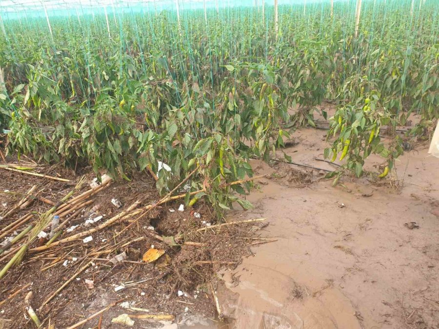 Antalya’da Selden Etkilenen İlçede Hasar Tespit Çalışmalarına Başlandı