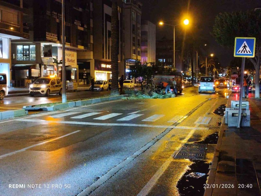 Antalya’da Fırtına Palmiye Ağacını İkiye Böldü