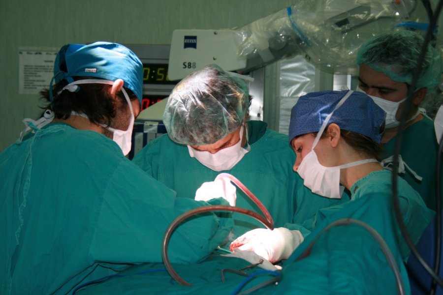 Hayata 14 Yıldır Başka Bir Yüzle Bakıyor: Türkiye’nin İlk Yüz Nakli, 14 Yıl Sonra Yeni Hayatının Mimarlarıyla Yeniden Buluştu