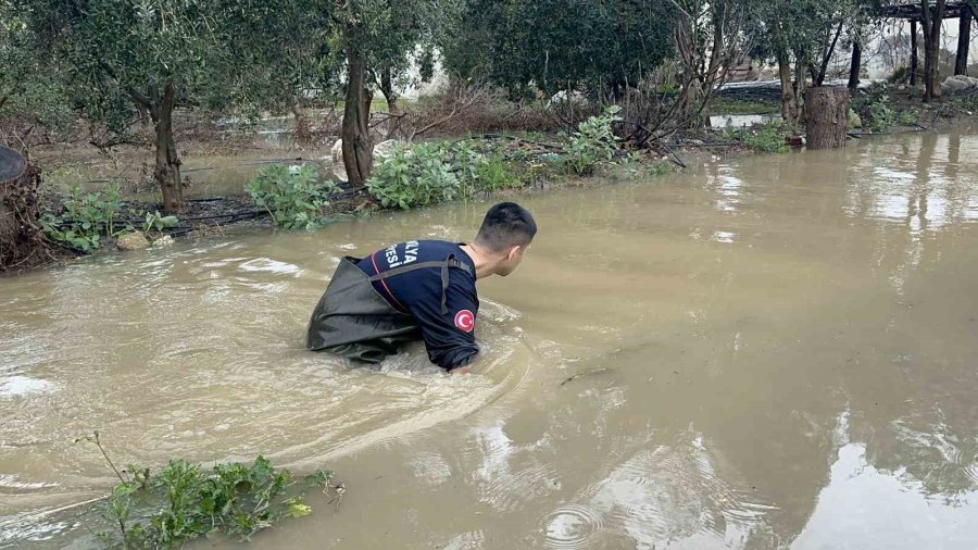 Kardeşleri Ve Arkadaşlarıyla Oynarken Tahliye Kanalına Düşen 3 Yaşındaki Berra Hayatını Kaybetti