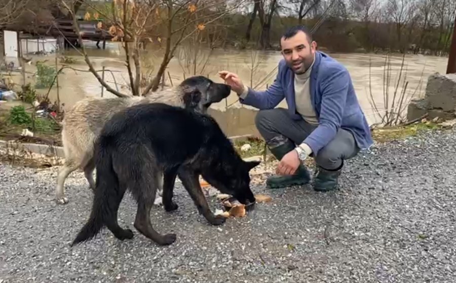 Sağanak Sonrası Evde Mahsur Kalan 4 Köpek İş Makinesiyle Kurtarıldı