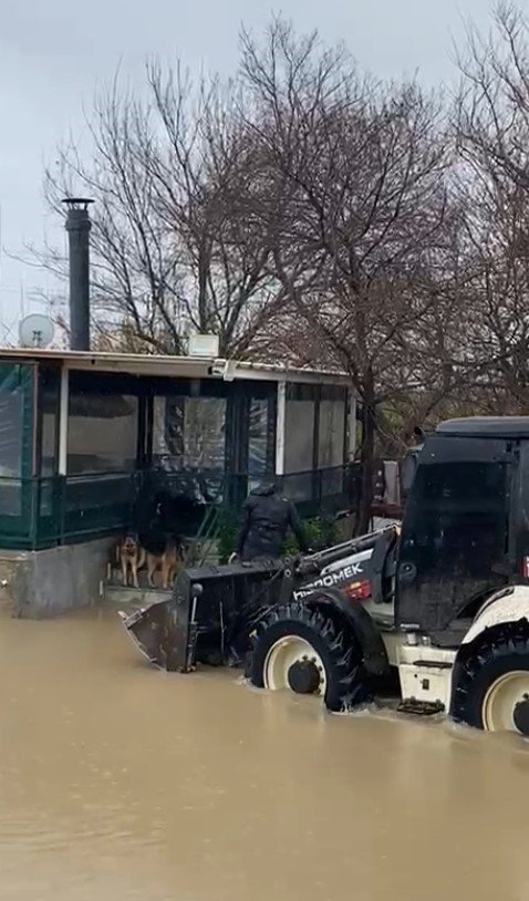 Sağanak Sonrası Evde Mahsur Kalan 4 Köpek İş Makinesiyle Kurtarıldı