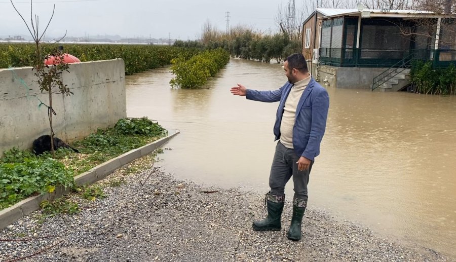Sağanak Sonrası Evde Mahsur Kalan 4 Köpek İş Makinesiyle Kurtarıldı