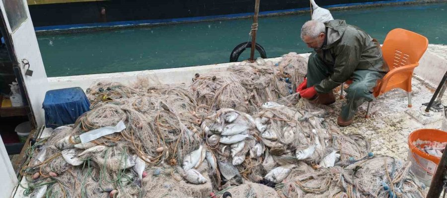 Silifke’de Balık Çiftliğinin Ağı Yırtıldı, Kıyılar Balıkla Doldu