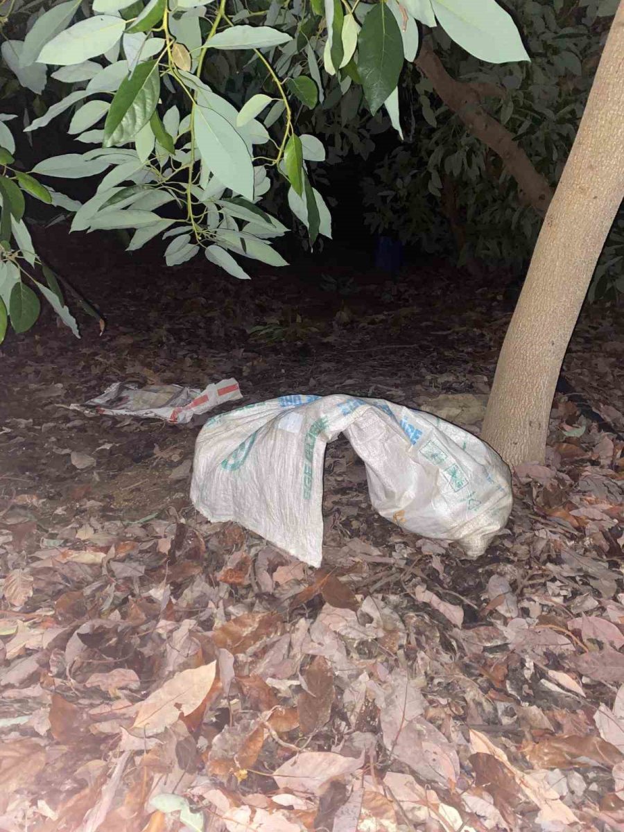 Jandarmayı Görünce Çaldıkları Avokadoları Bırakıp Kaçtılar