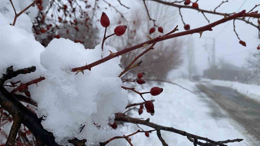 Mersin’in Yüksek Kesimlerinde Kar Sevinci