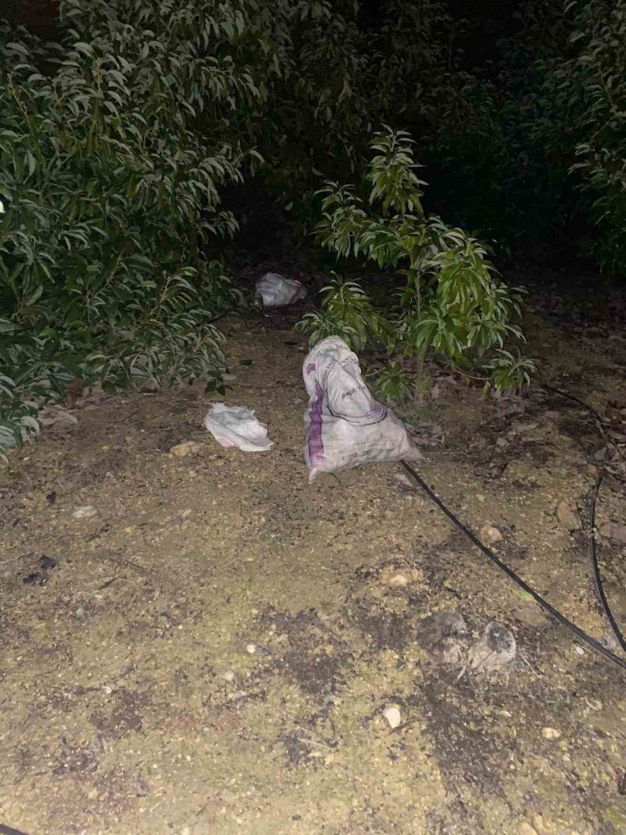 Alanya’da Çaldıkları Avokadoyu Bırakıp Kaçan Şüphelilere Adli Kontrol Kararı