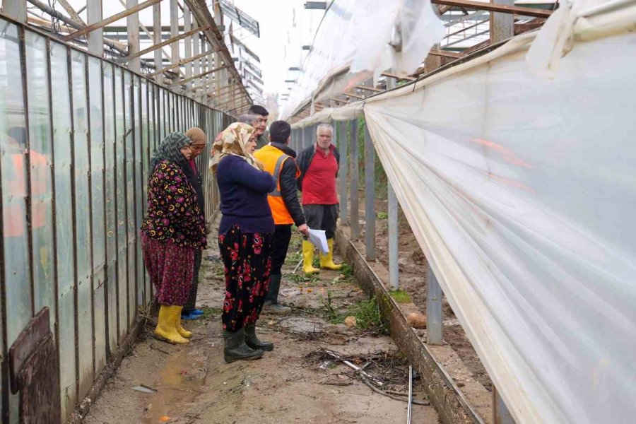 Aksu’da Afetten Zarar Gören Seralarda Hasar Tespiti Yapıldı