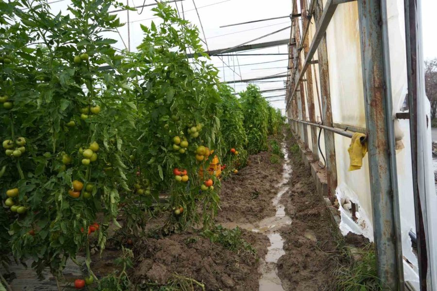 Aksu’da Sel Ve Hortum Felaketi: Milyonluk Tekneler Parçalandı, 700 Dönüm Alanda Seralar Sular Altında Kaldı