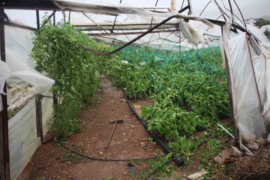 Örtü Altı Tarımın Merkezi Kumluca’da Hortumun Verdiği Hasar Gündüz Ortaya Çıktı
