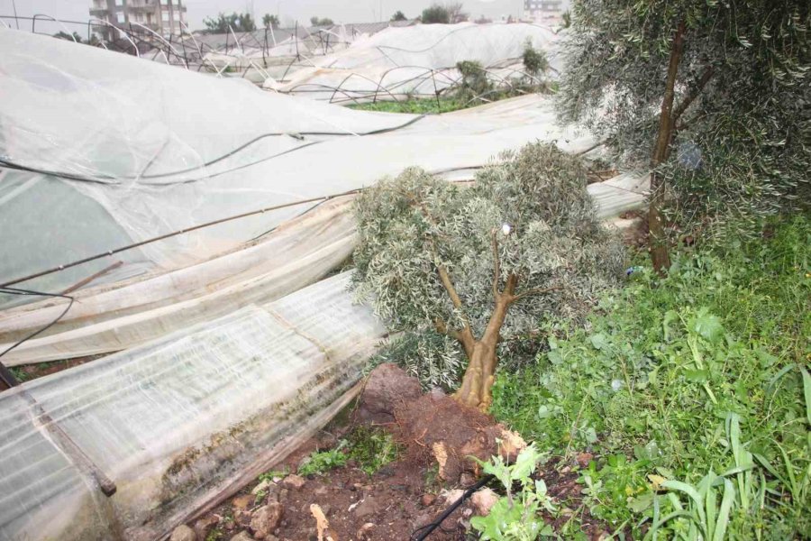 Örtü Altı Tarımın Merkezi Kumluca’da Hortumun Verdiği Hasar Gündüz Ortaya Çıktı