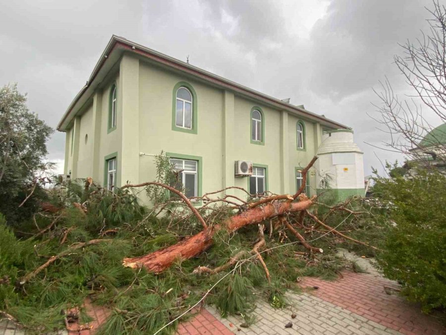 Manavgat’ta Hortum Üç Mahalleyi Harabeye Çevirdi