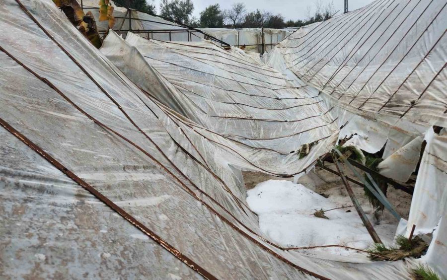 Mersin’de Dolu Sera Çökertti, Bahçelere Zarar Verdi