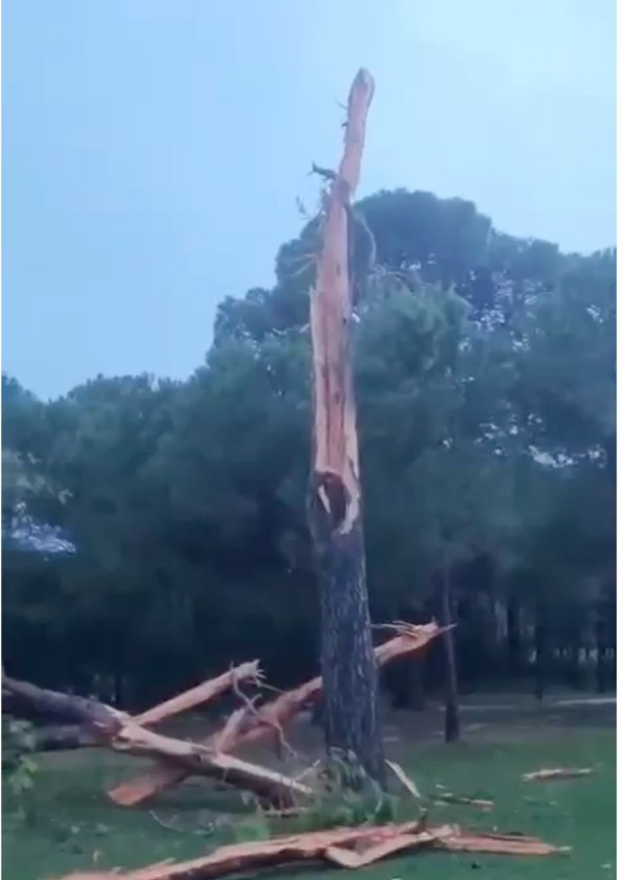 Golf Sahasına Düşen Yıldırım Ağacı Parçalara Ayırdı