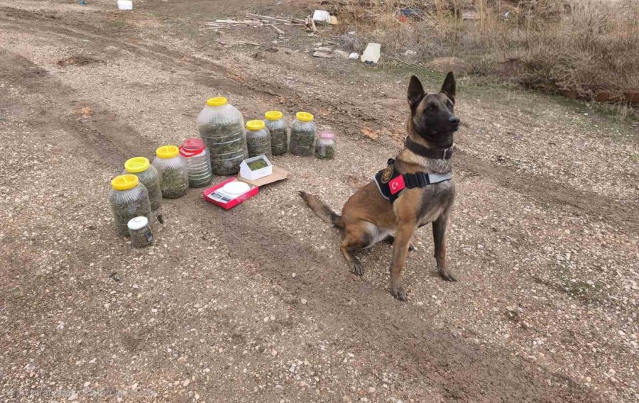 Karaman’da Uyuşturucu Operasyonu: 1 Gözaltı