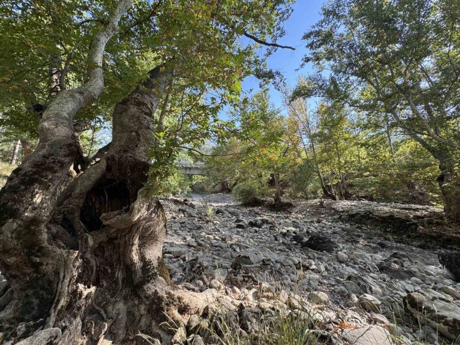 Toroslar’da Yağış Bereketi Kuruyan Üzümdere Irmağını Yeniden Canlandırdı, Şelaleler Coştu