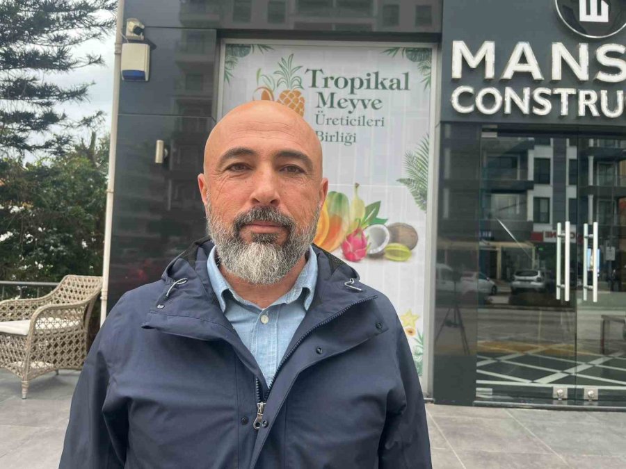 Alanya, Türkiye’nin Muz İhtiyacının Yüzde 40’ını Karşılıyor