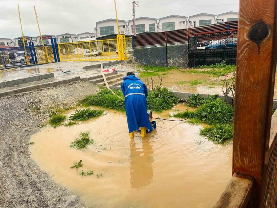 Mersin’de Selin Yaraları Sarılıyor