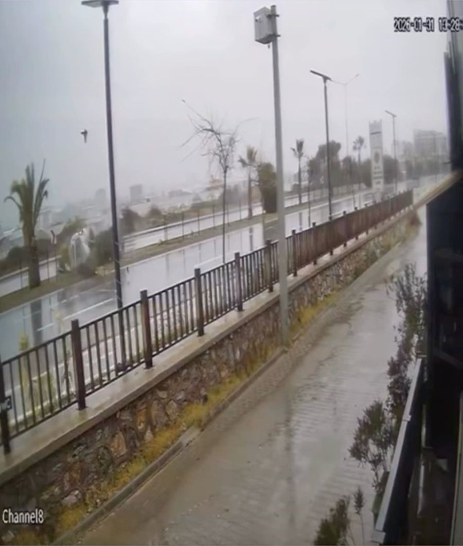 Kontrolden Çıkan Otomobil Refüjdeki Ağaca Çarpıp Takla Attı