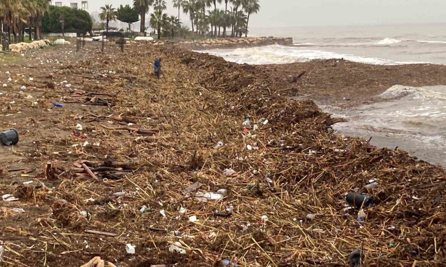 Sel Sonrası Deniz Kahverengi Oldu, Sahiller Odun Doldu