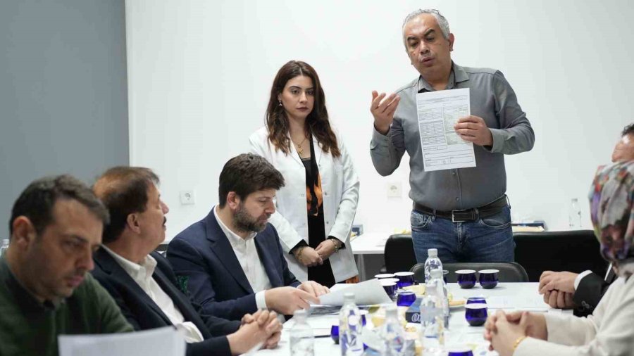 Tarsus Zeytinyağı Dünya Yolunda: Kalite Yarışması Tanıtıldı