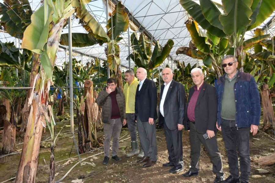 Tzob Genel Başkanı Bayraktar: "doğal Afetler Tarım Sektörünü Her Geçen Yıl Daha Fazla Etkilemektedir"