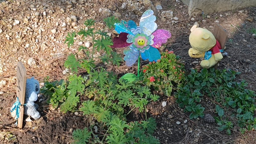 Çiçeklerden Çok Oyuncaklarla Bezenen Mezarlıkta Duygulandıran Görüntüler