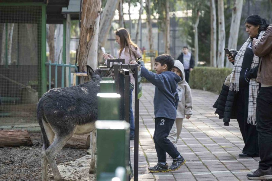 Mersin’de Yarıyıl Tatili Şenliğe Dönüştü