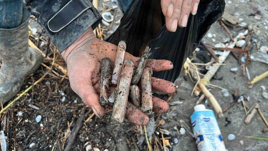 Mersin’de Fırtına Sonrası Binlerce Kargı Midyesi Sahile Vurdu: Balıkçılar Tek Tek Topladı