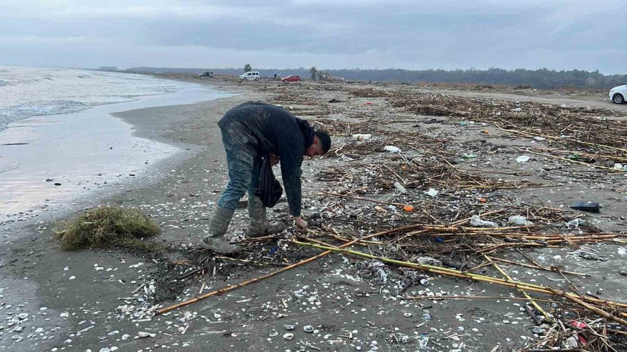 Mersin’de Fırtına Sonrası Binlerce Kargı Midyesi Sahile Vurdu: Balıkçılar Tek Tek Topladı