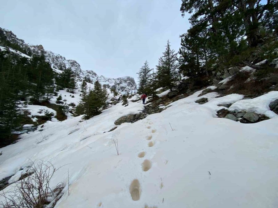 Eriyen Kar Ve Yağmur Suları Su Kaynaklarını Coşturdu