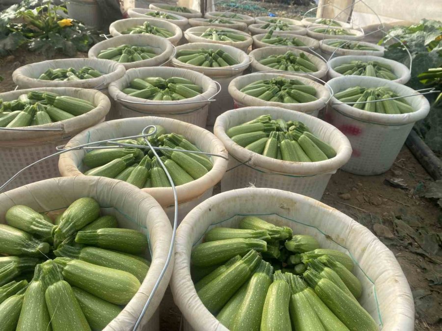 Antalya Ticaret Borsası, Ocak Ayı Hal Endeksini Açıkladı