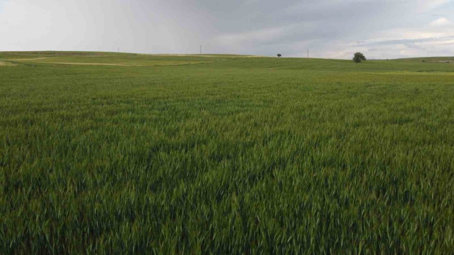 Konya’da Yüksek Kesimler Yağışa Doydu
