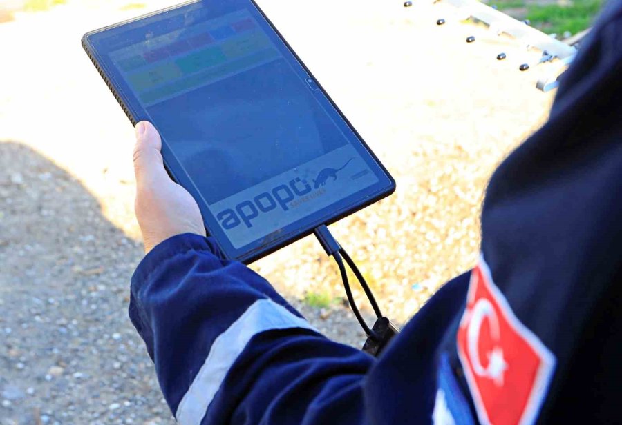 Antalya’da Eğitilen Afrika Keseli Sıçanları Enkaz Altındaki "göz" Olacak