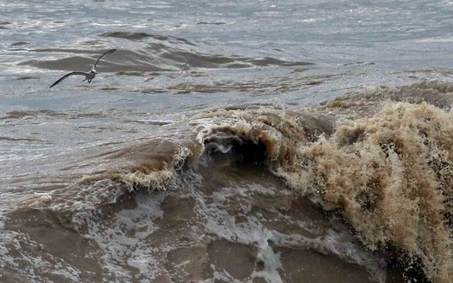 Dev Dalgalar Sahili Dövdü: Martılar Balık, Define Avcıları Kıymetli Eşya Aradı