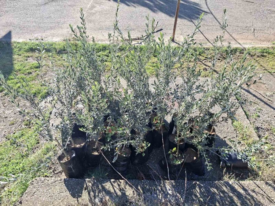 Antalya’da Öğrencilerden Geleceğe Nefes